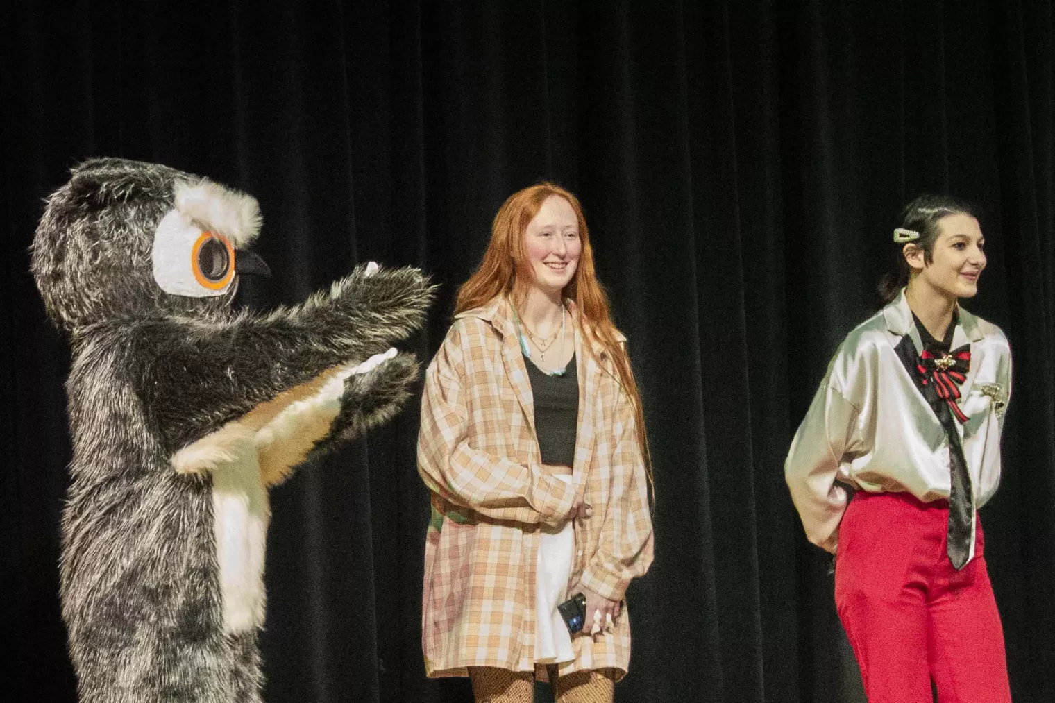 Ollie and the winners