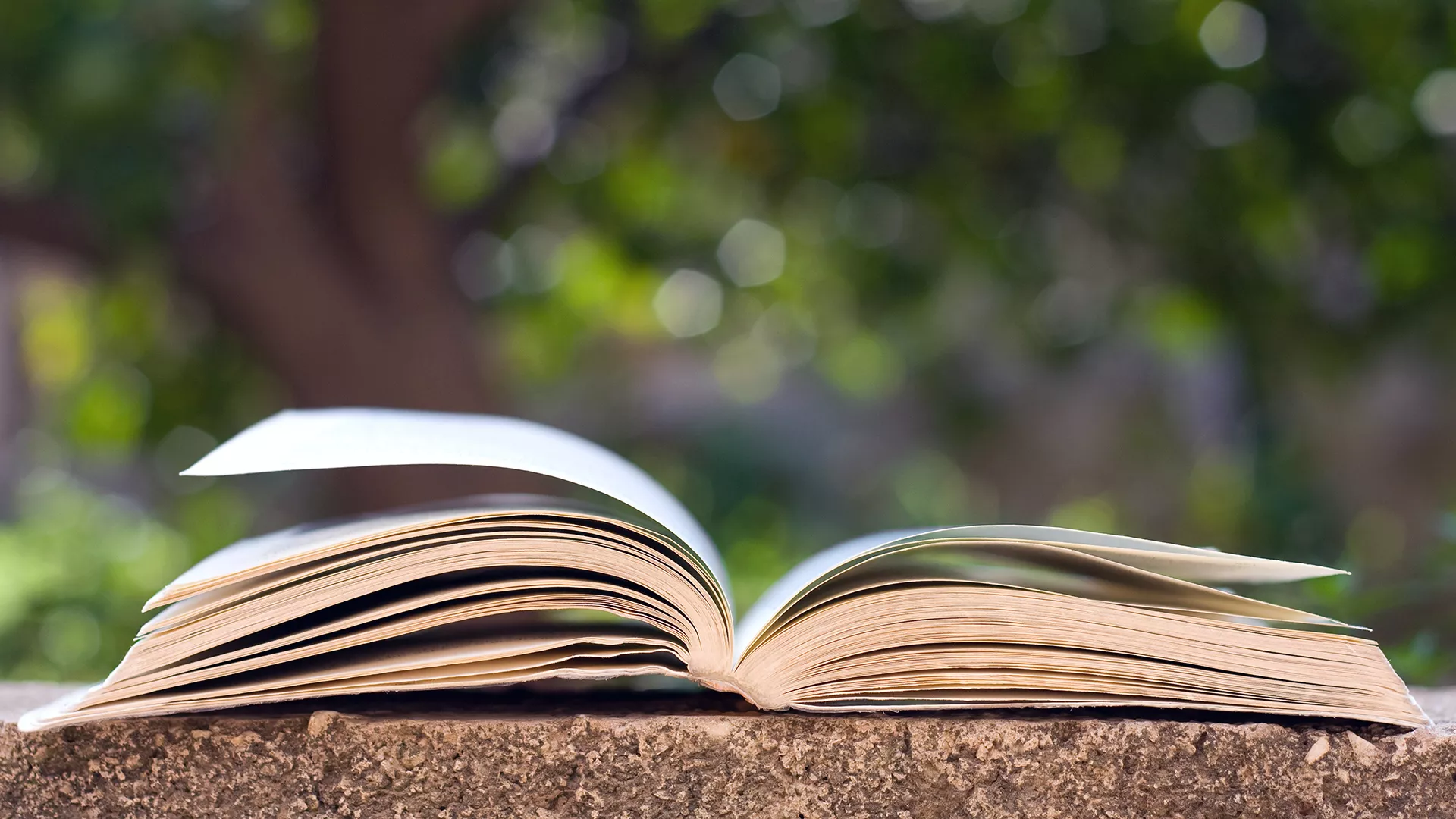 open book lying on stone table outside