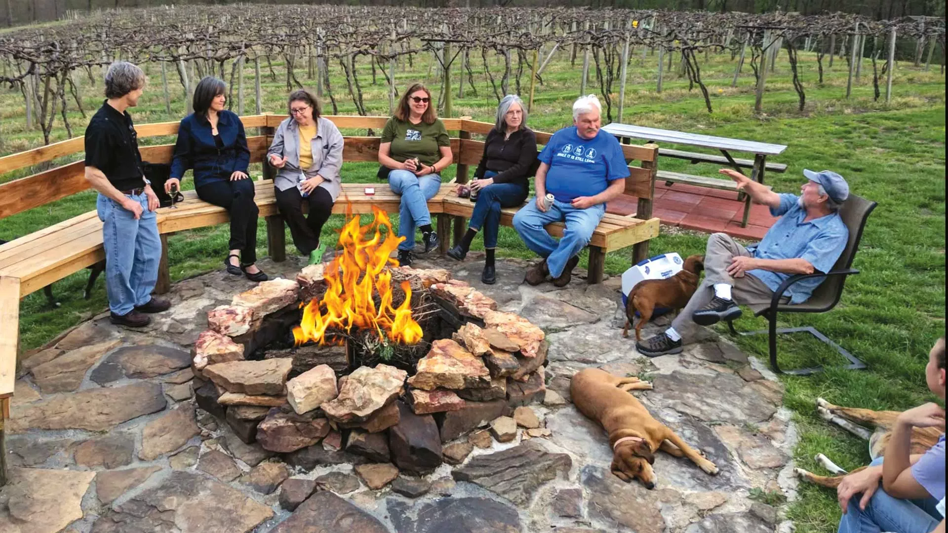 People sitting on a bench around a stone campfire in a vineyard.