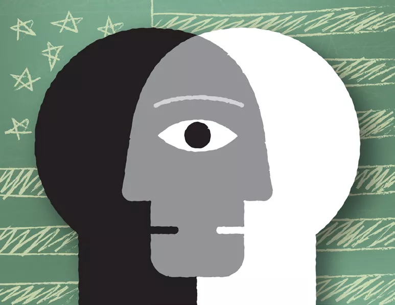 Illustration of 2 faces, one black, one white, combining into a grey face. Background is a chalkboard with a flag drawn on it.