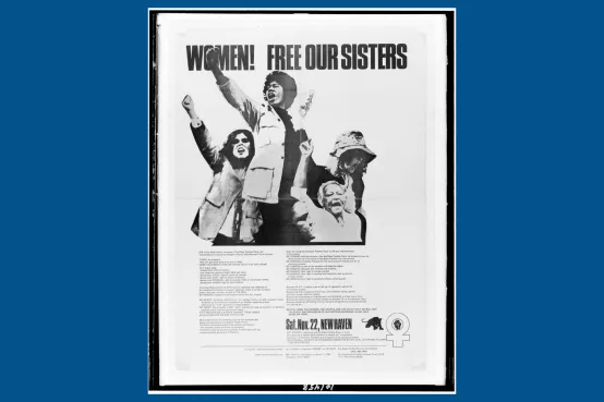 Flower with Black women that says Women! Free our Sisters